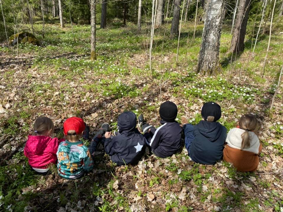 Kuusi lasta istumassa metsässä selin kameraan.
